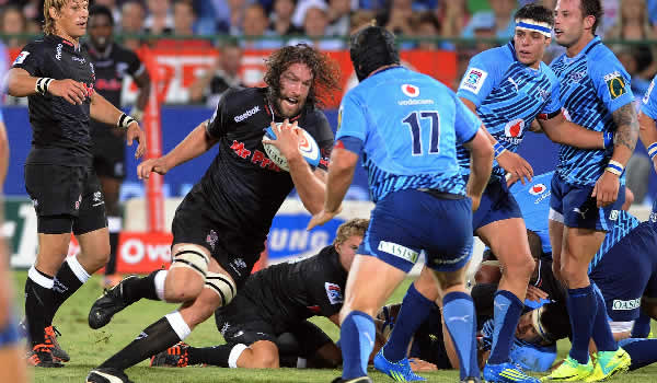 bulls rugby images